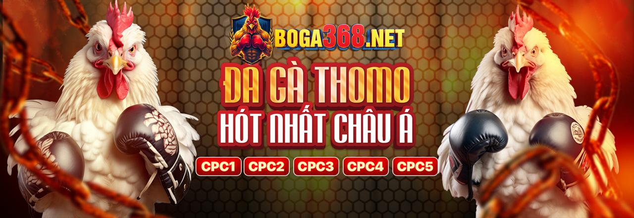 Các Loại Hình Đá Gà Phổ Biến Trực Tuyến